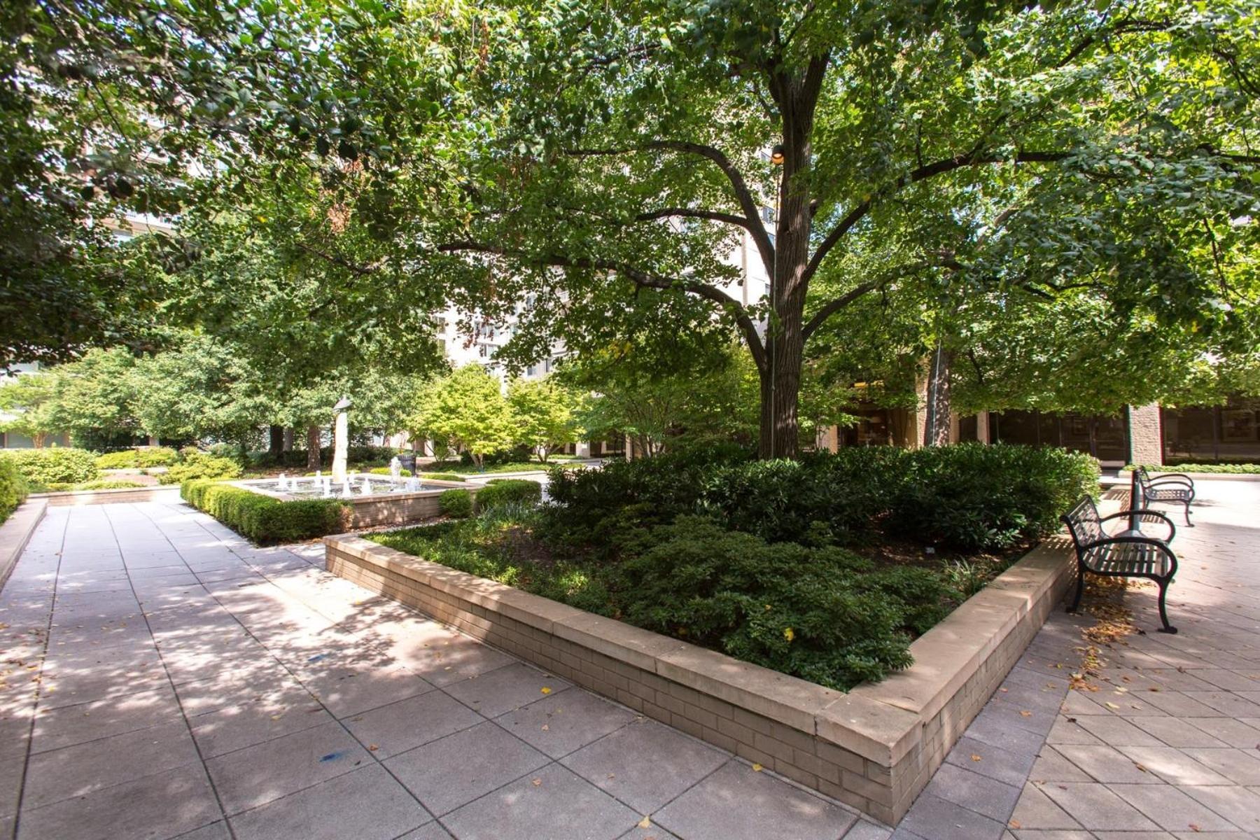 Spacious 2 Bedrooms Apt @Crystal City With Gym Arlington Exteriér fotografie